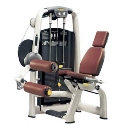 Technogym Leg Curl - Selection Line TECHNOM990